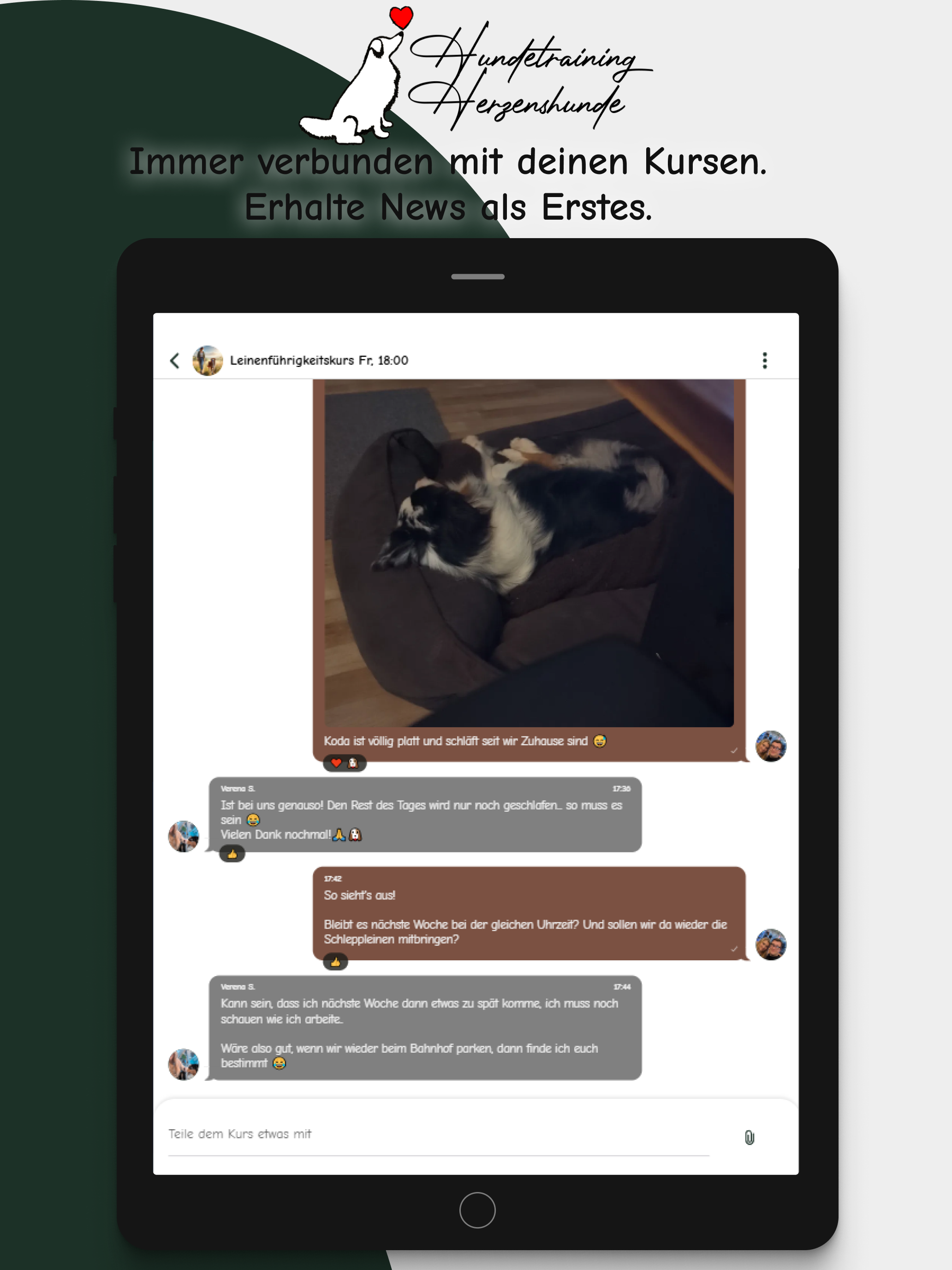 Hundetraining Herzenshunde