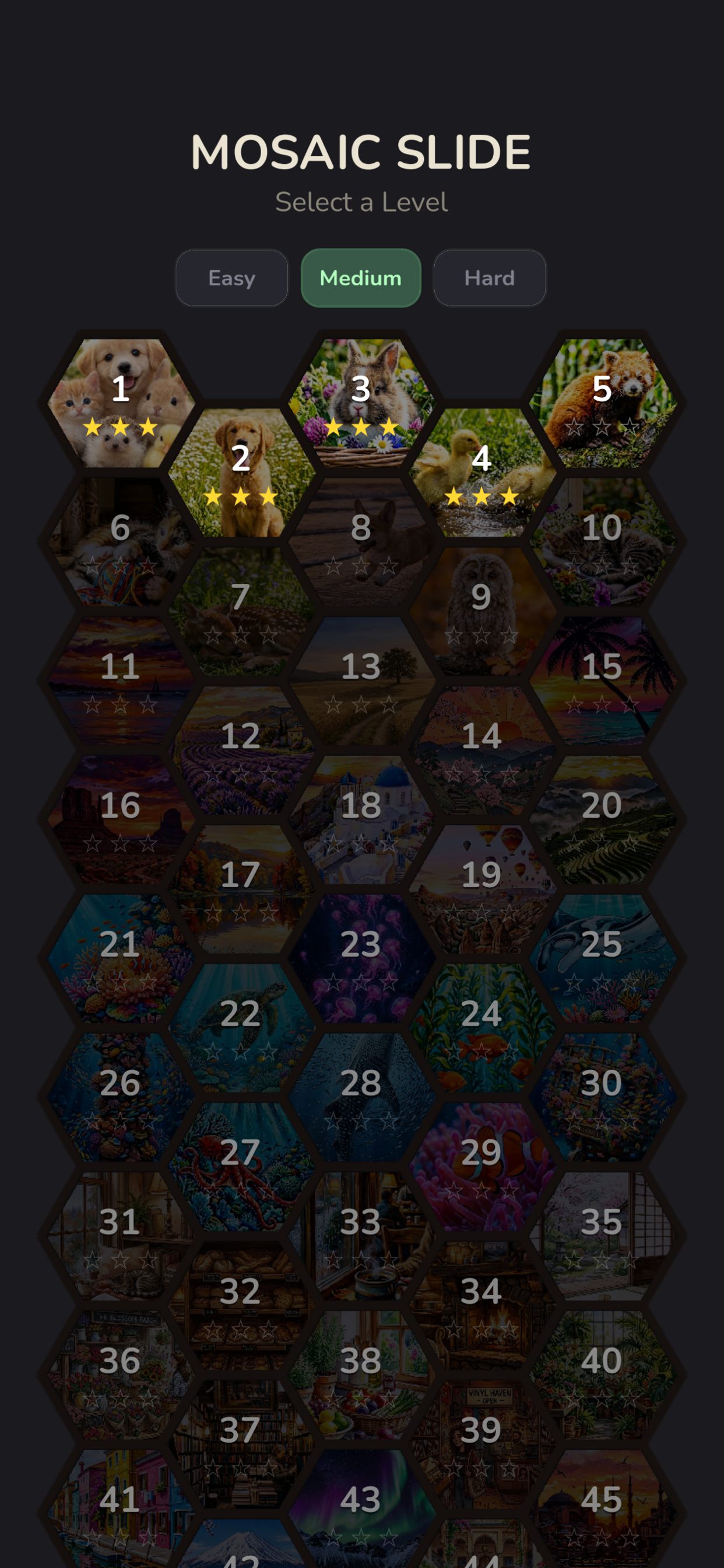 Mosaic Slide screenshot 9