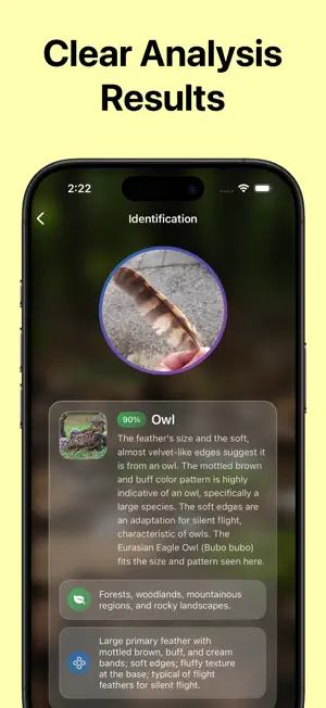 Identifier: Feather screenshot 3