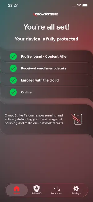 CrowdStrike Falcon screenshot 1