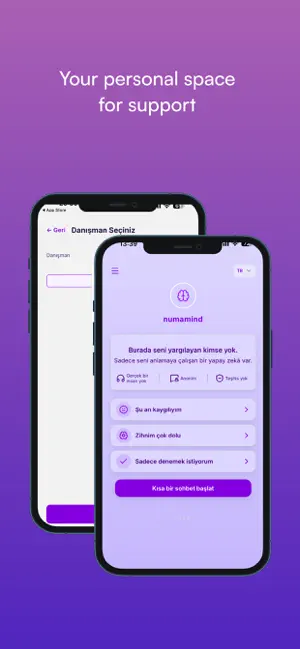 NumaMind screenshot 2
