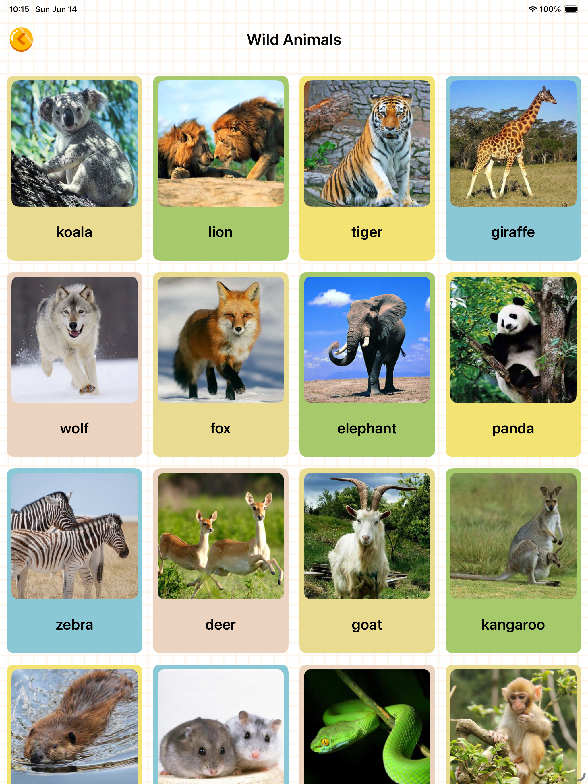 English for Kids Preschool ESL