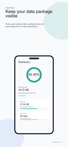 DataPulse Data Widget Screenshot 1 of 5