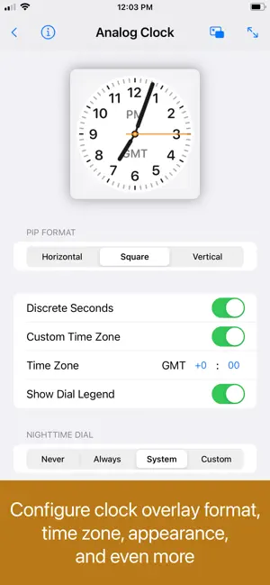 PiP Widgets screenshot 2