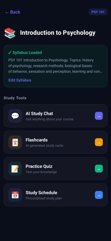 Syllabus Agent: AI Study Tool Screenshot 2 of 6
