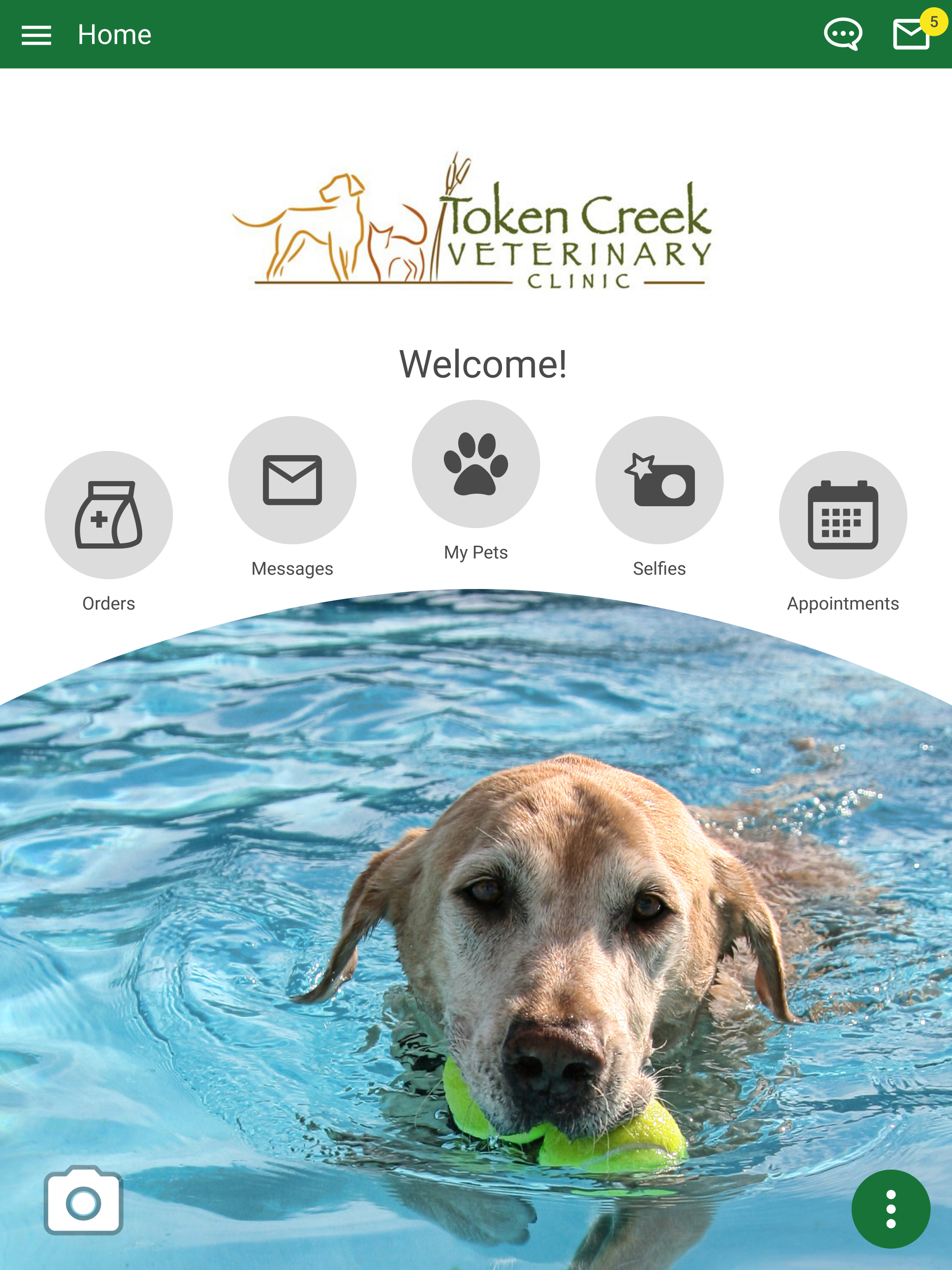 Token Creek Vet Clinic screenshot 11