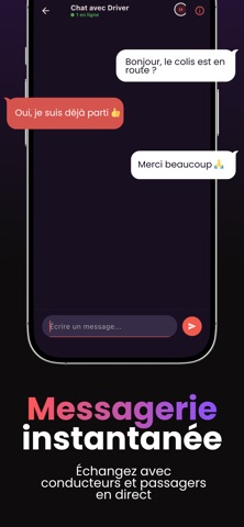 BraDrive screenshot