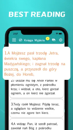Polish Bible - offline screenshot 2