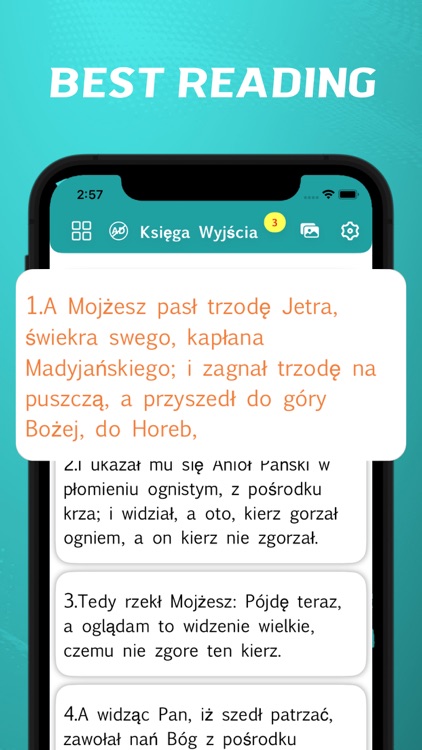 Polish Bible - offline