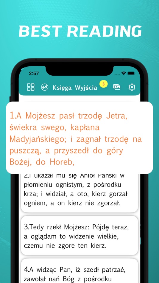 #2. Polish Bible - offline (iOS) Bởi: Sumithra Kumar