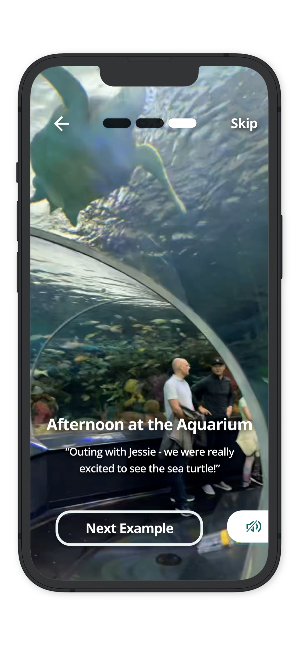 HippoCamera