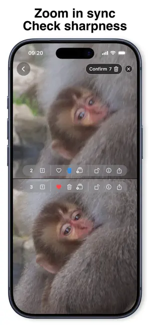 Zoom Compare: Pick Best Photos screenshot 3