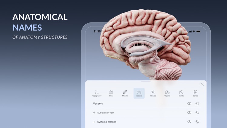 VOKA 3D Anatomy & Pathology screenshot-4