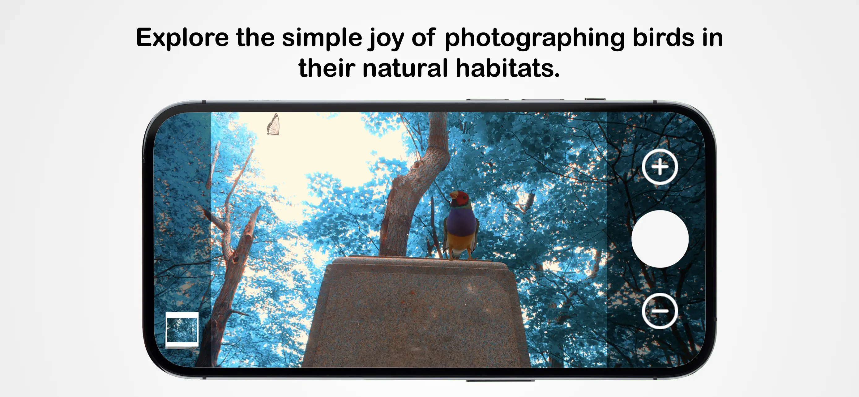 #6. Wanderness (iOS) De: Moolion Inc