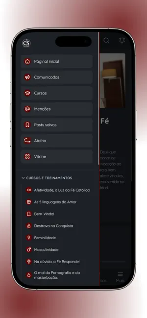 O Clube dos Solteiros screenshot 4