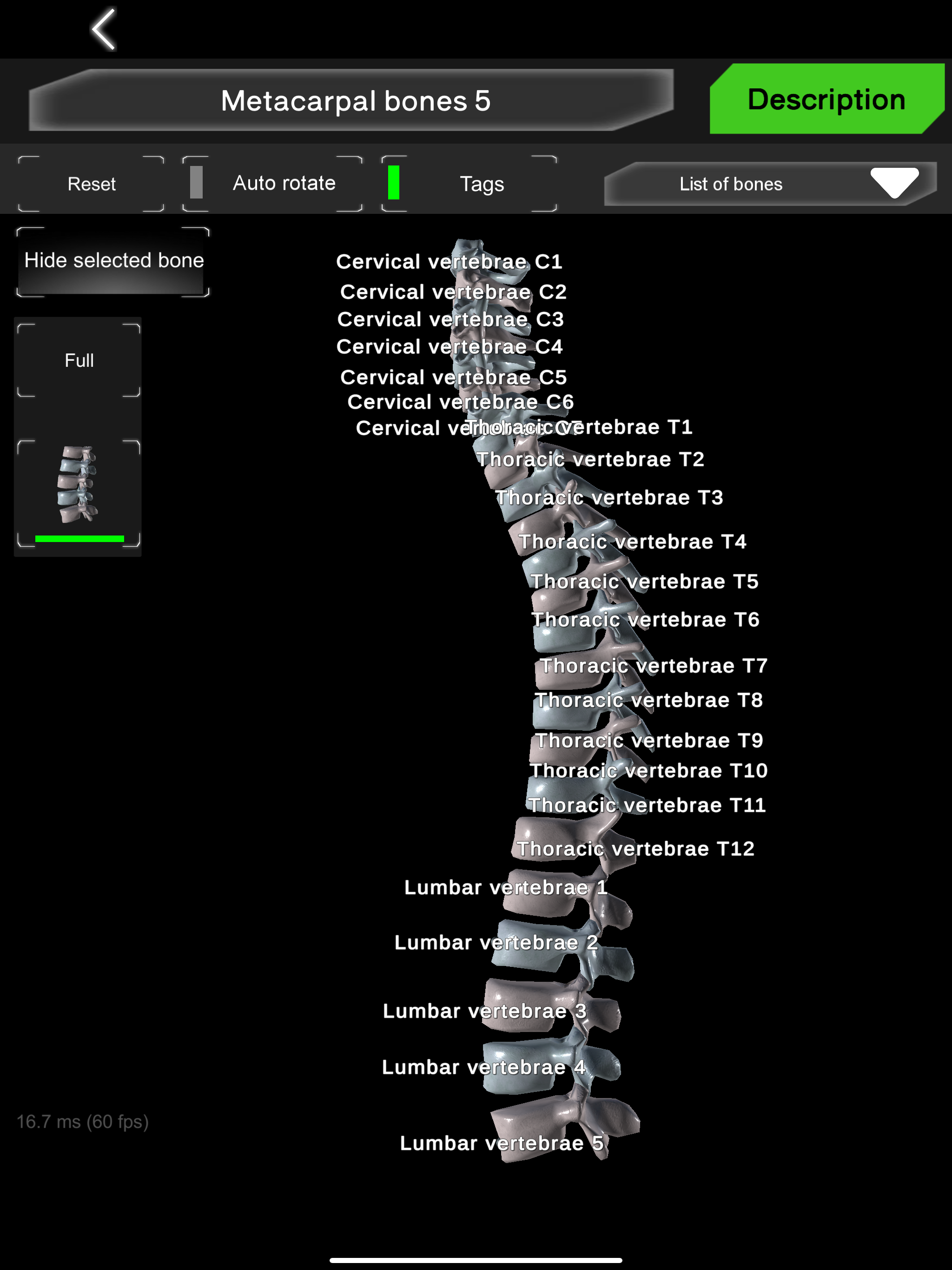 Bones 3D (Anatomy) screenshot 8