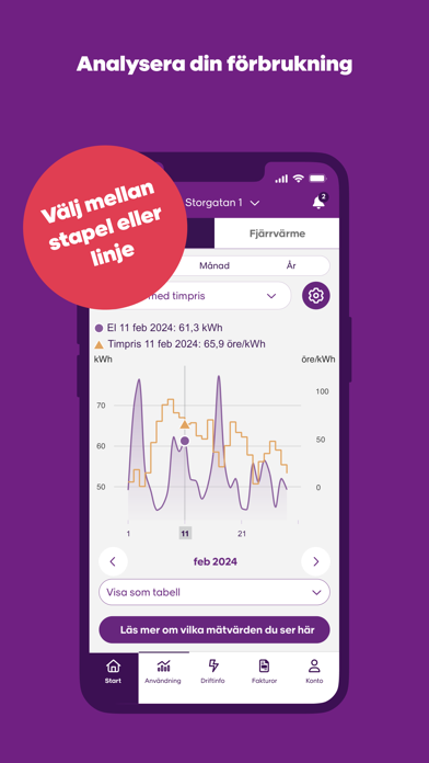 Skellefteå Kraft Screenshot