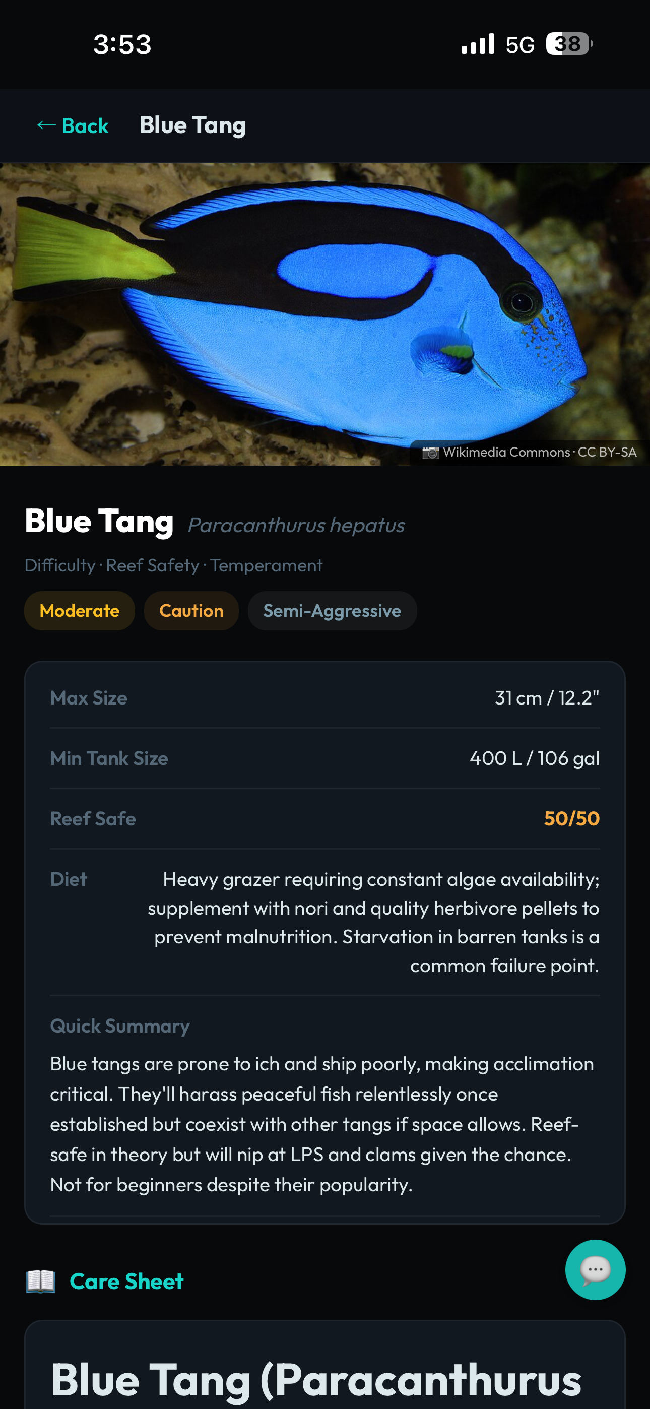 ReefMind