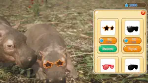 Hippo’s World: A Daily Tale screenshot 3