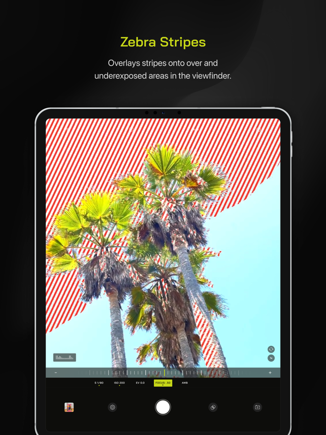 Pro Camera by Moment Screenshot