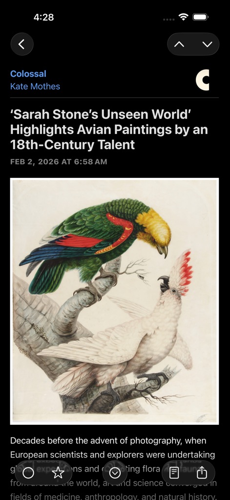 NetNewsWire: RSS Reader - Immerse yourself in the content with a clutter-free display of the article "text" and its captivating "main image", complemented by actionable controls for starring or sharing.