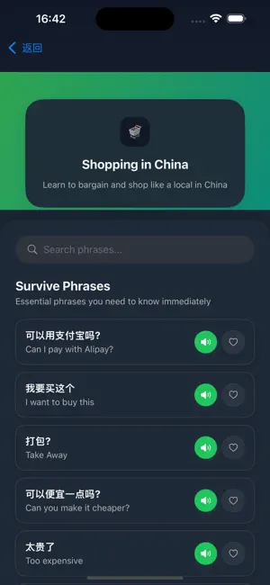 Travel Chinese Phrasebook screenshot 4