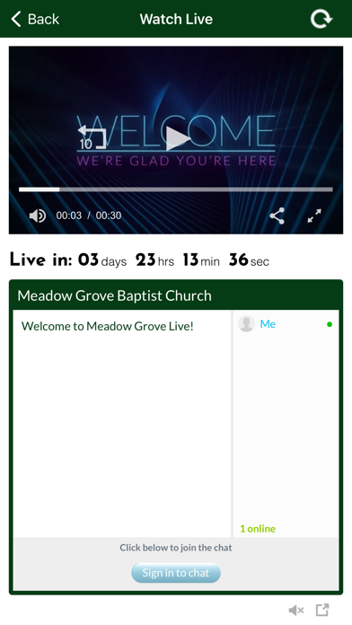 Meadow Grove Screenshot