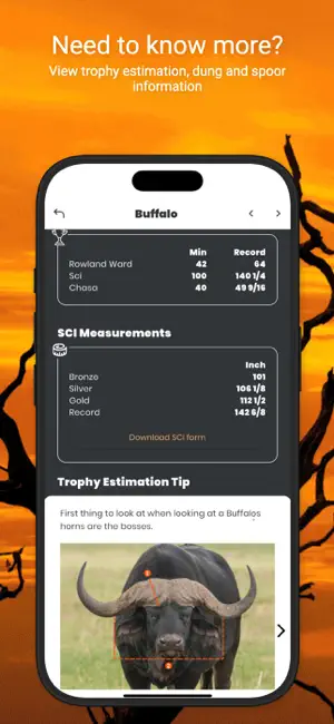 International Hunters screenshot 4