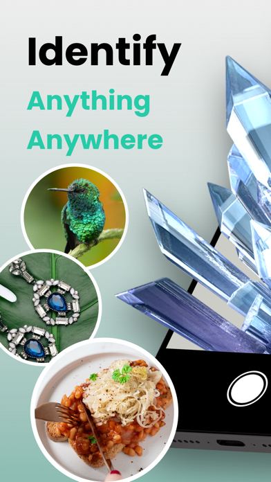 Picture & Ask: Pocket Expert Screenshot