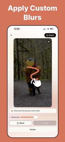 Kloak Blur Video & Photos screenshot