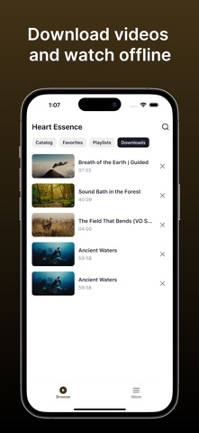Heart Essence screenshot 2