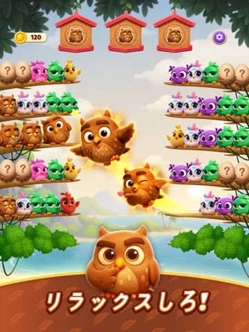 Chirpy Sort: Bird Color Puzzle iPad screenshot 4