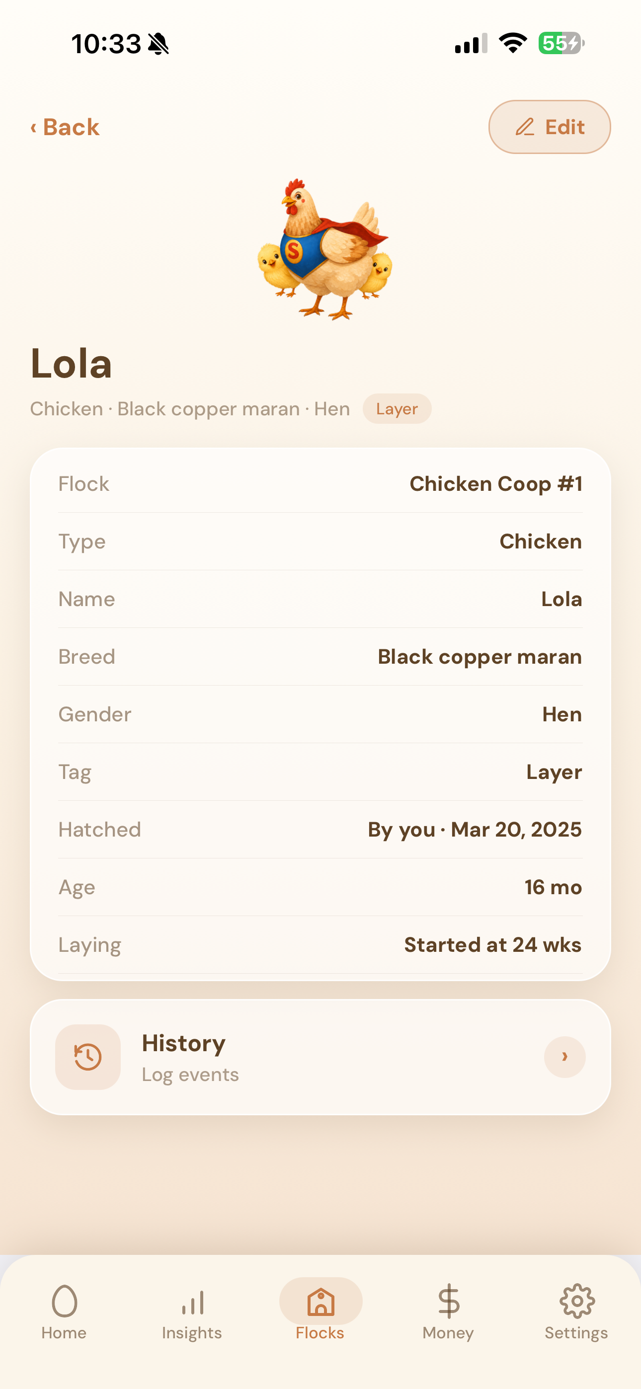 Superhen screenshot 5