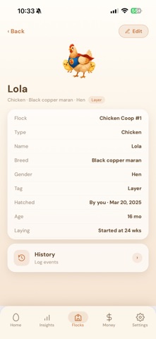 Superhen Screenshot 5 of 8