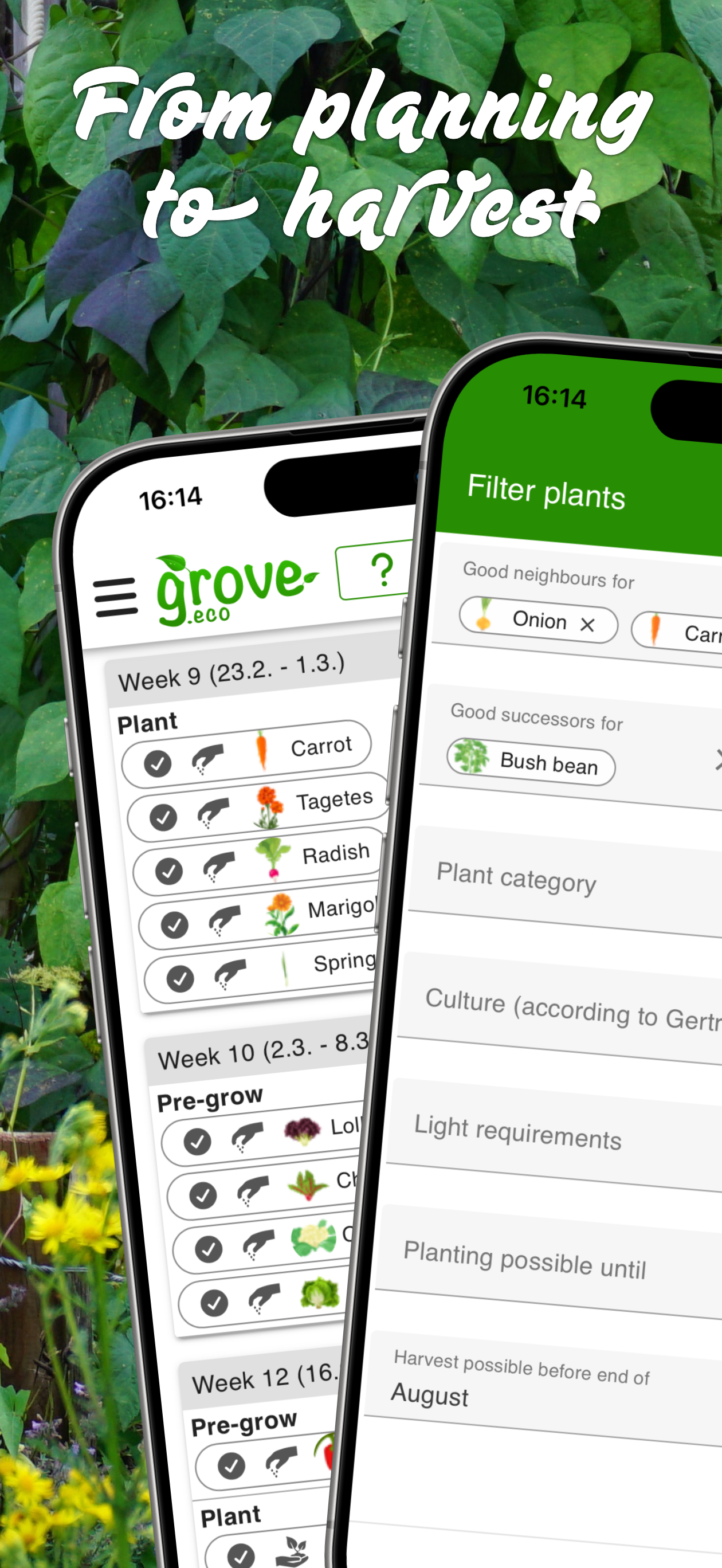 grove: Companion Plant Planner