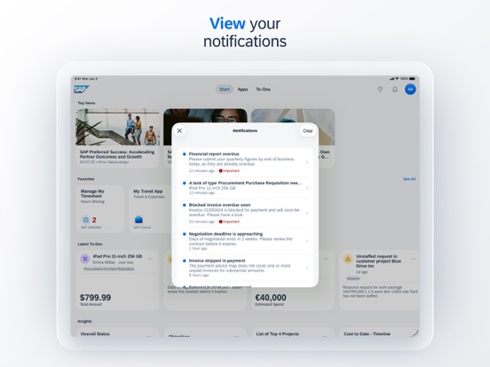 SAP Mobile Start iPad screenshot 6 - Business app