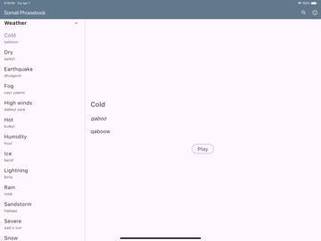 Somali Phrasebook iPad screenshot