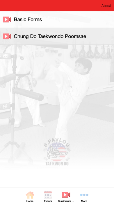 SPavlou Taekwondo screenshot
