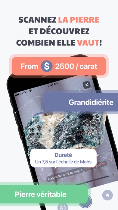 Screenshot #1 pour Rock Identifier & Pierre Gemme