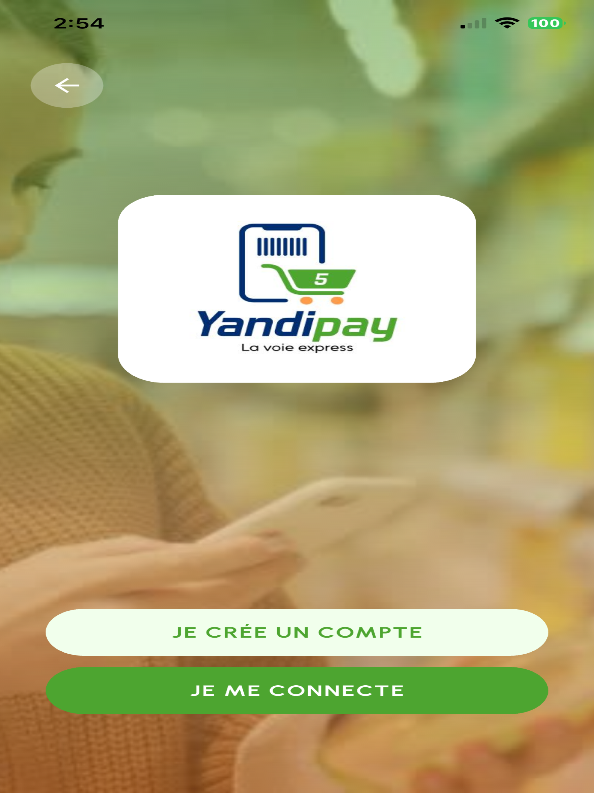 Yandipay screenshot 18
