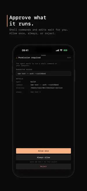 Codetether screenshot 4