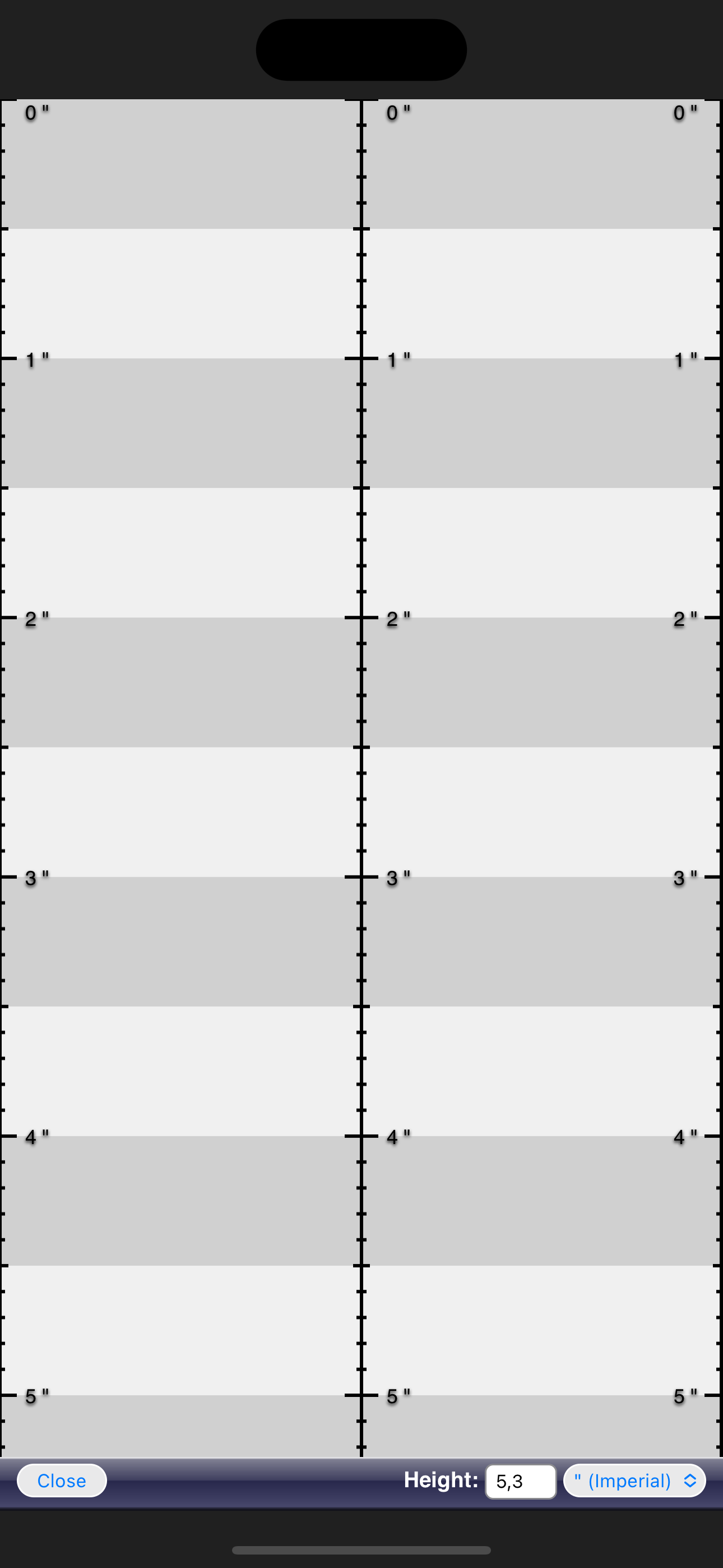 Ruler App screenshot 3