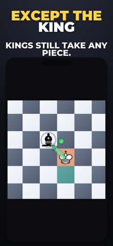 Chess: Same Piece Capture Only Screenshot 2 of 5