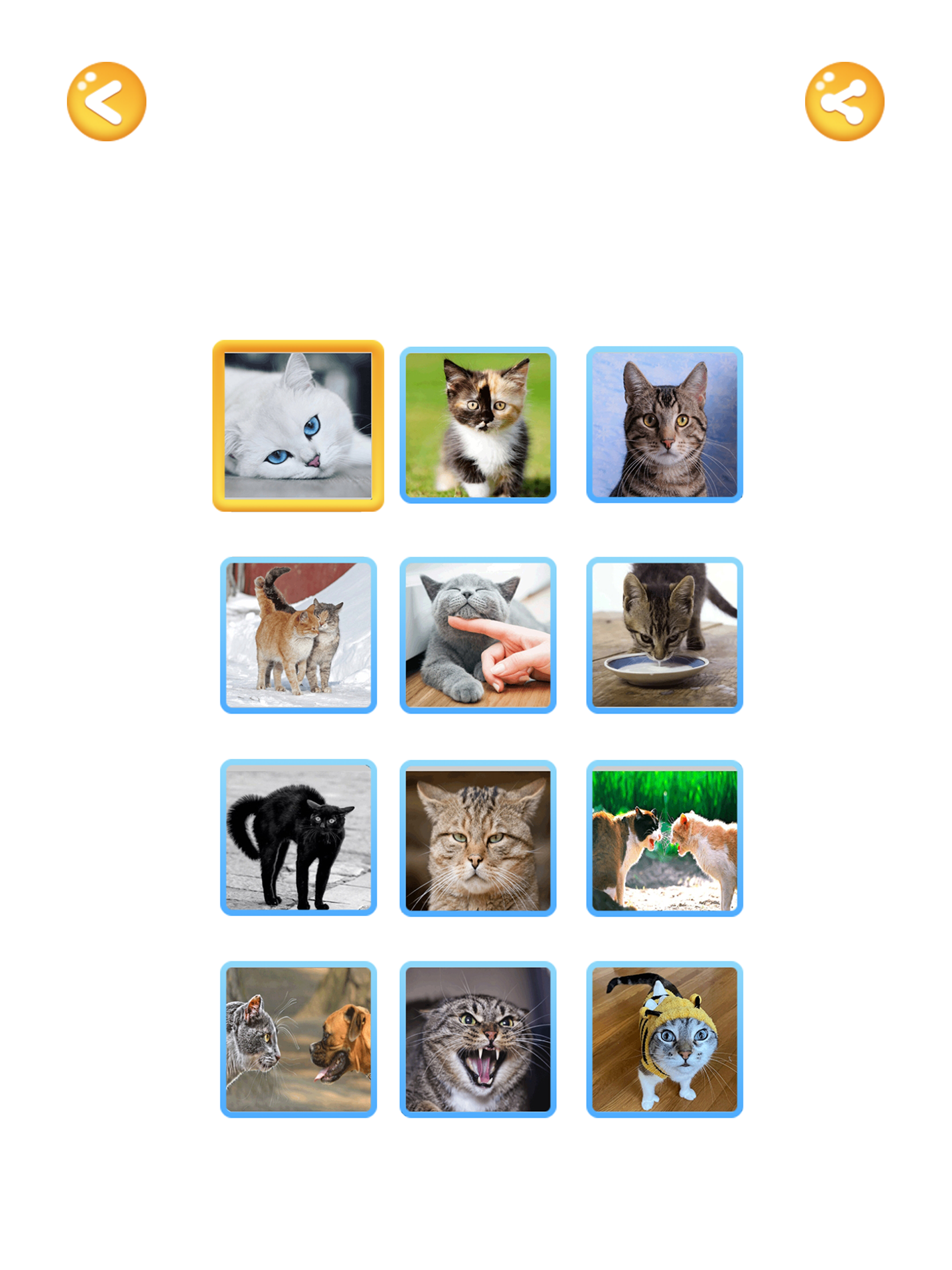 Cat Translator: Cat to Human