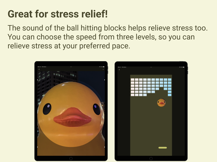 My Photo Brick Breaker