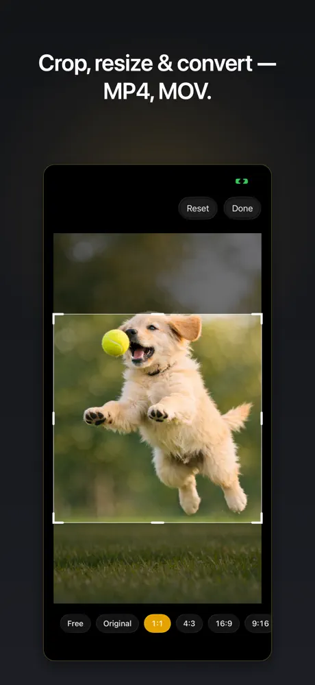 Video to GIF – GIF Maker screenshot 4