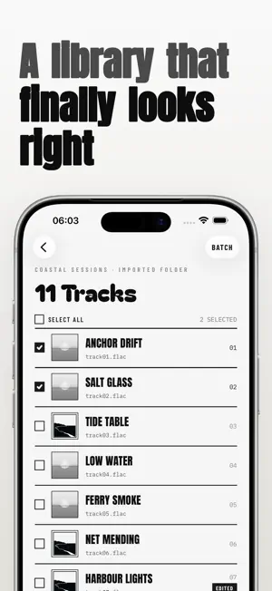 Tagwell: MP3 Music Tag Editor screenshot 2