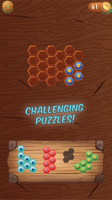 Hexa Brain Puzzle Screenshot