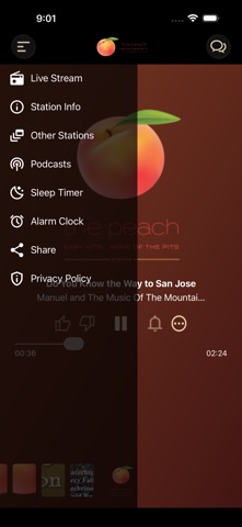 The Peach Screenshot 2 of 5
