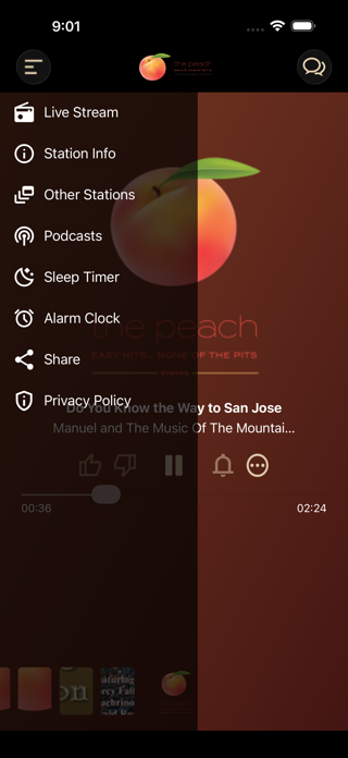 The Peach Screenshot 2 of 5
